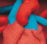 Link to detail page: Conny Kuilboer (april 2007)