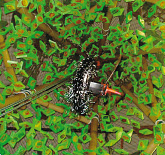 Link to detail page: Erik Sok en Ellen van Putten (juni 2009)