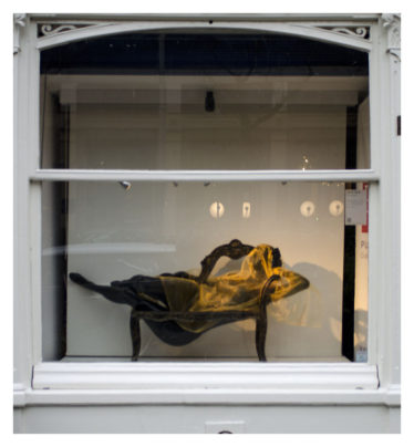 gallary image
